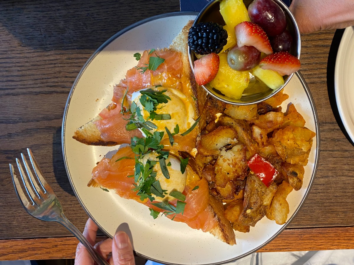 daily gather salmon eggs