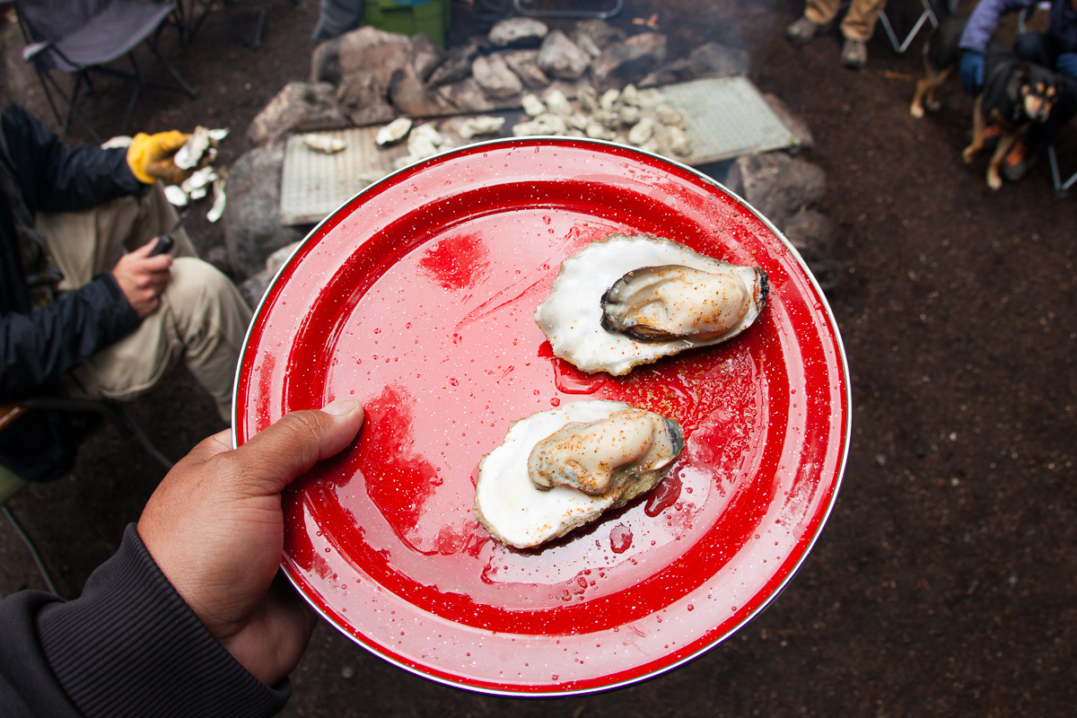 Fresh Hama Hama Oysters hot off the fire!