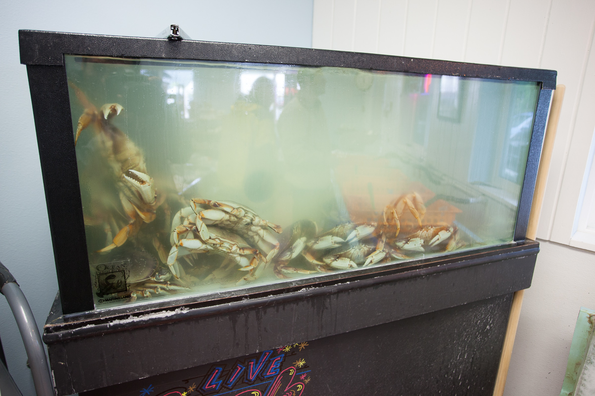Live Dungeness Crab is available.