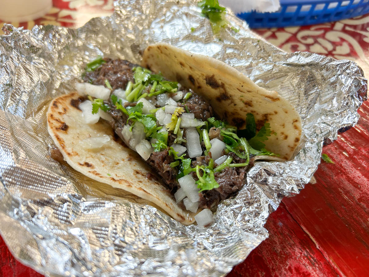 Barbacoa taco with cilantro